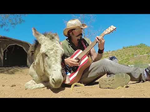 Hazel the donkey relaxing with a Hazel guitar #Video