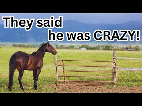 I bought him anyway - The Clever Cowgirl #Video