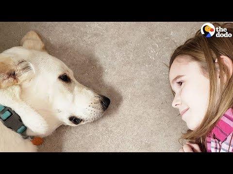 Little Girls Decide To Save A Shelter Dog's Life | The Dodo