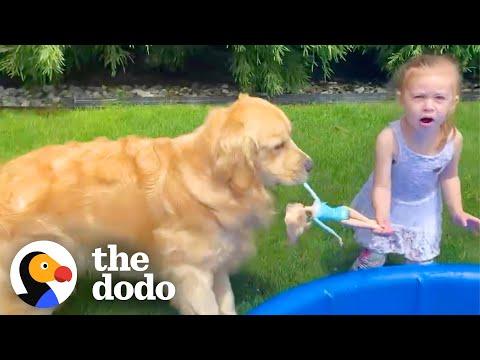 Dog is REALLY Obsessed With Playing With His Sister's Barbies! #Video