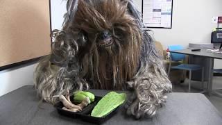 Chewbacca joins Fort Worth Police Department