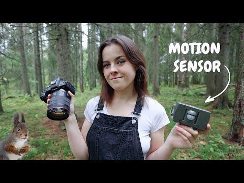 I left my camera in the forest and this is what happened... #Video