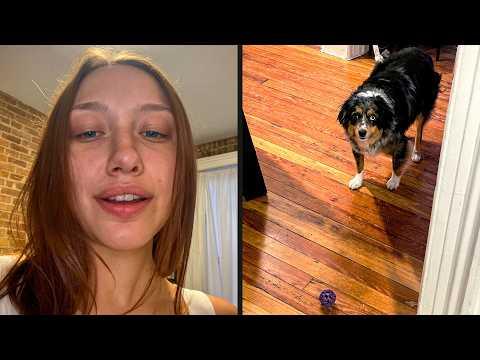 Never Let Them Know Your Next Move | YOUR Daily Dose of Pets #Video