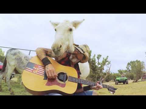 Singing the Beatles to Heaven the donkey #Video