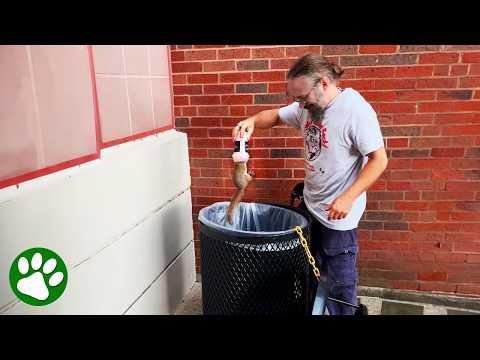 Squirrel stuck in milkshake cup rescued from trashcan #Video