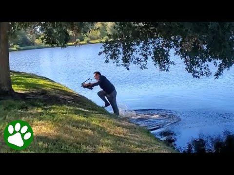 Father leaps into action to save bird #Video