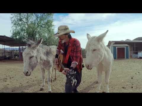 Two donkeys named Hazel and Heaven love Annie’s song by John Denver #Video