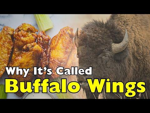 Buffalo Wings: They’re Not What You Think (It’s Not the Animal!) #Video