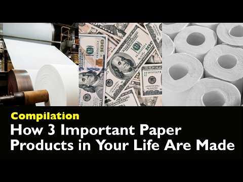 How Paper, Paper Money, and Tissue Paper Are Made | Compilation #Video