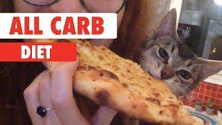 All Carb Diet