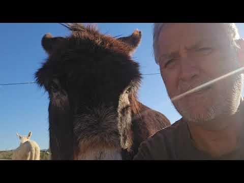 Can you think a little deeper? #Video