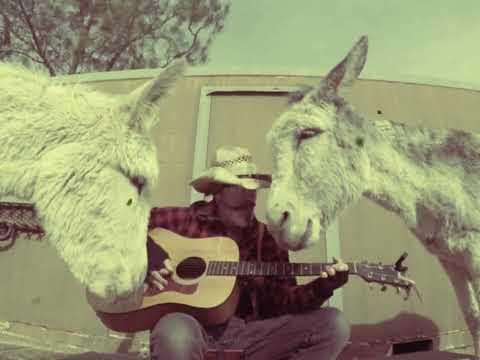 Stuck in the middle of two famous donkeys Heaven and Hazel loving this hip song #Video