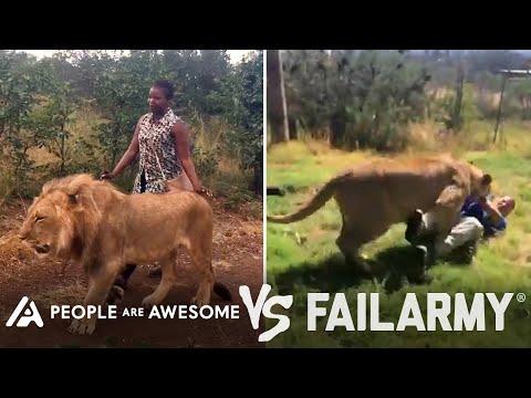 Lions, Freestyle Skiing & More! | People Are Awesome Vs. FailArmy #Video