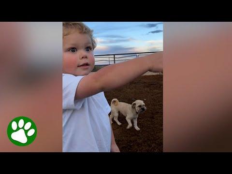 Tiny Farmer Loves Animals #Video