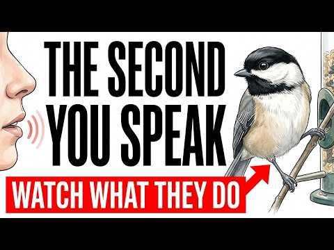 What Birds Do the Second They Hear Your Voice — You’ve Never Noticed #Video