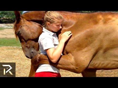 Unbelievable Animals That Saved People's Lives