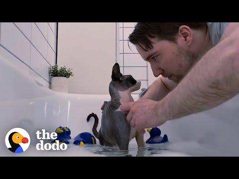 Watch This Guy Give His Cat a Bubble Bath #Video