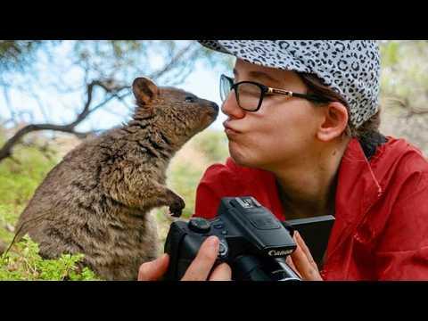 When Animals Surprise Photographers in the Sweetest Way #Video