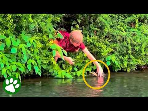 Duckling Reunited With Family After Kind Kids’ Rescue #Video