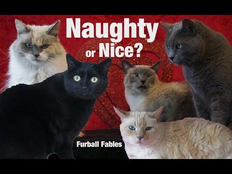 Is my Cat on the Naughty or Nice list?