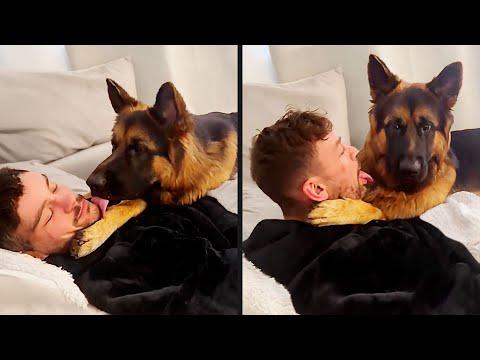 The Tables Have Turned | Your Daily Dose of Pets #Video