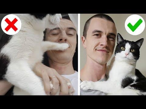 How To Take a Good Selfie With a Cat #Video