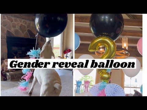 When You Find a Mystery Balloon - Layla The Boxer #Video