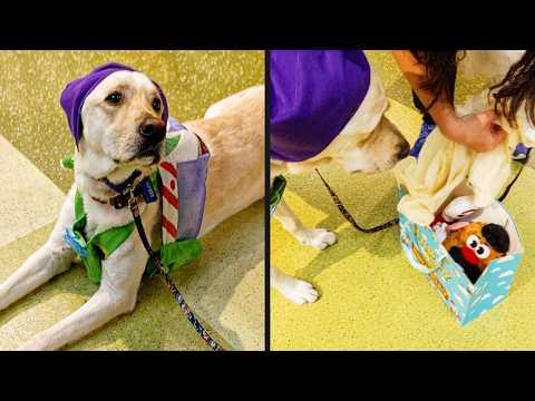 Dog Has The Best Birthday Ever | YOUR Daily Dose of Pets #Video