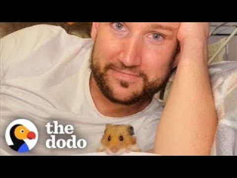 Man And His Hamster Have A Special Bromance #Video