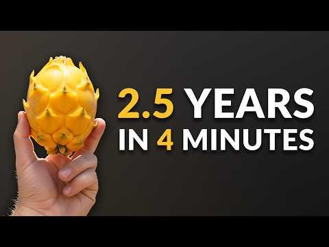 I Grew a Dragon Fruit Cactus From Seed And Filmed It For 2.5 Years #Video