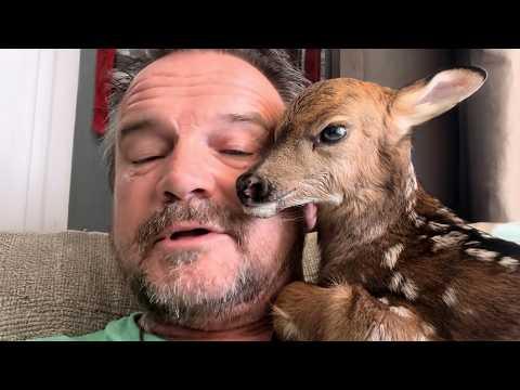 When Animals Can't Hold Back Their Emotions After a Hug from Humans #Video