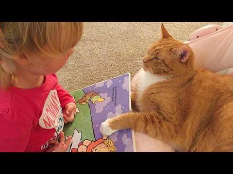 No Babysitter Needed, Just a Cat! #Video