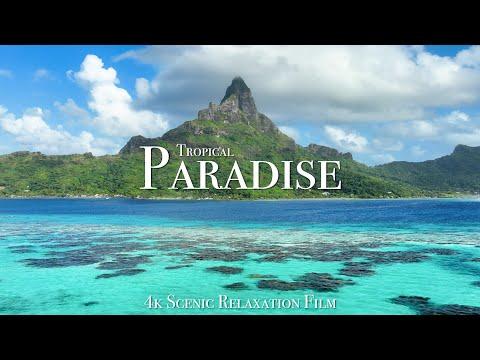 Tropical Paradise 4K - Scenic Relaxation Film with Calming Music #Video