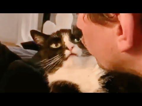 Woman accuses her cat of acting like a dog #Video