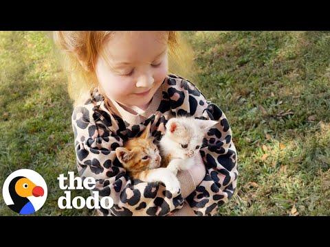 Little Girl Takes Care Of Three Orphaned Kittens #Video