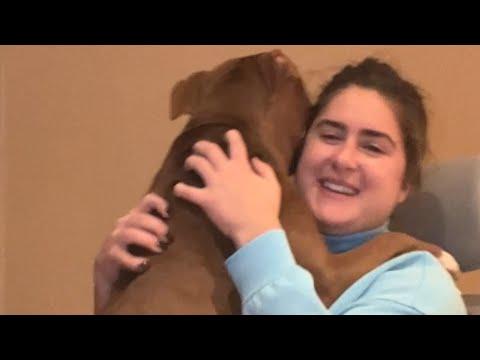 Unwanted dog is so happy when she finally gets adopted #Video