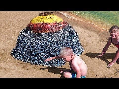 Family Found a Strange Thing on the Beach Video, What Happened Next Shocked Everyone