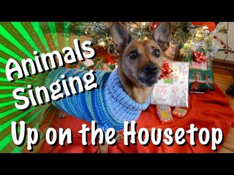 Talking Animals Sing Up On The Housetop - Hilarious!