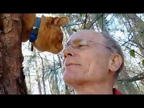 This 70-year-old man has saved 700 cats from trees #Video