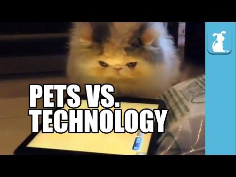 Pets Vs. Technology (Funny Compilation!)