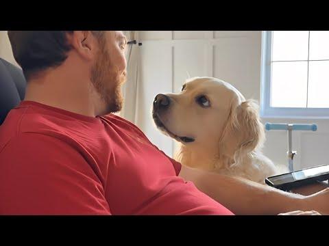 The Most Dramatic Dogs Overreacting to Their Owners! #Video