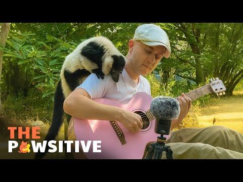 This Musician Found the Most Adorable Audience Ever  #Video