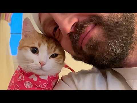Street cat gets saved and now she's daddy's girl #Video