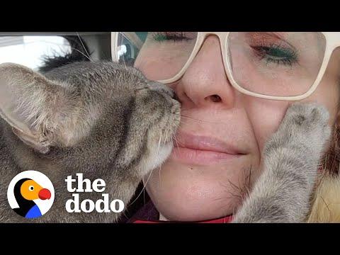 Clingy Cat Goes Everywhere With Mom  #Video