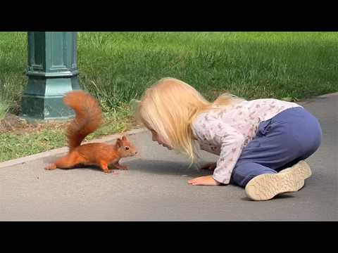 Animals Adore Little Humans #Video