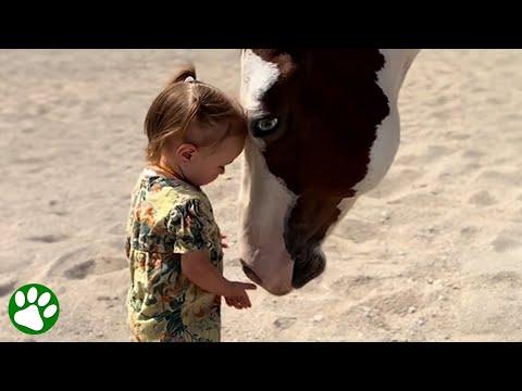 Magical Bonds: Toddler Horse Whisperer Will Melt Your Heart!
