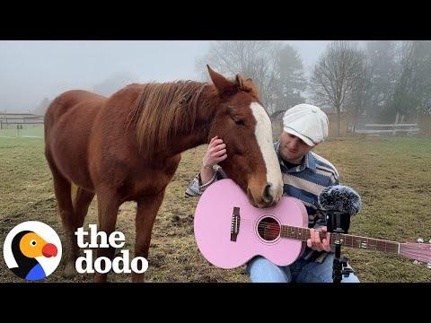 Guy Sings His Heart Out To Animals Everywhere He Goes #Video