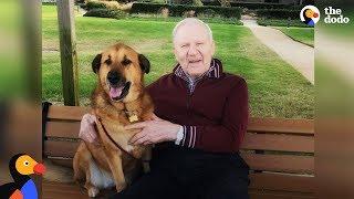Man With Alzheimer's Loves Visits From His Favorite Dog | The Dodo