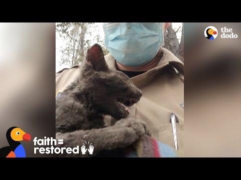 Guy Rescues Kitten From Wildfire