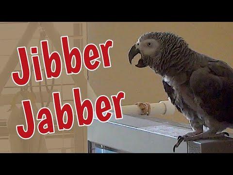 Jibber Jabber with Jeff Video